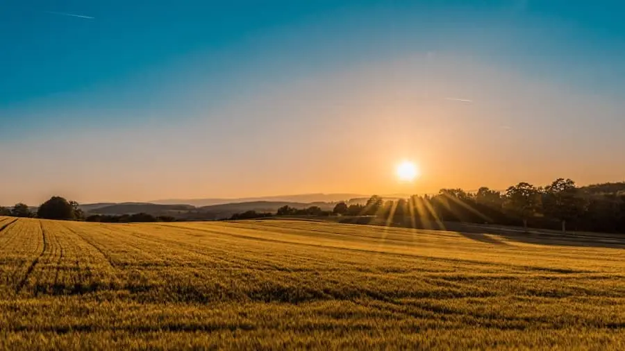 CRA - Certificado de Recebíveis do Agronegócio estruturado pela G8 Securitizadora